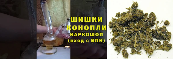 первитин Новодвинск