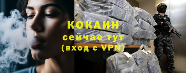 первитин Новодвинск