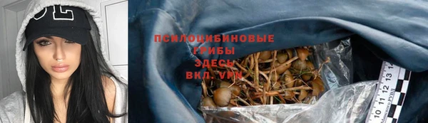 мяу мяу мука Няндома