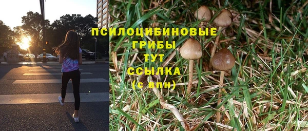 spice Нягань