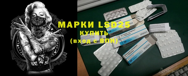 первитин Новодвинск