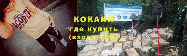 ГАЛЛЮЦИНОГЕННЫЕ ГРИБЫ Нязепетровск