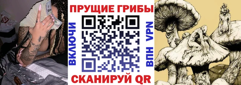 Псилоцибиновые грибы мухоморы  Рассказово 